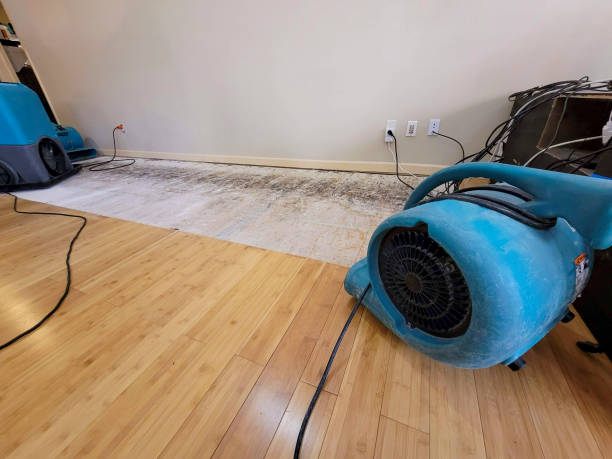 Professional Flood Damage Cleanup technician working in Boothbay Harbor, ME
